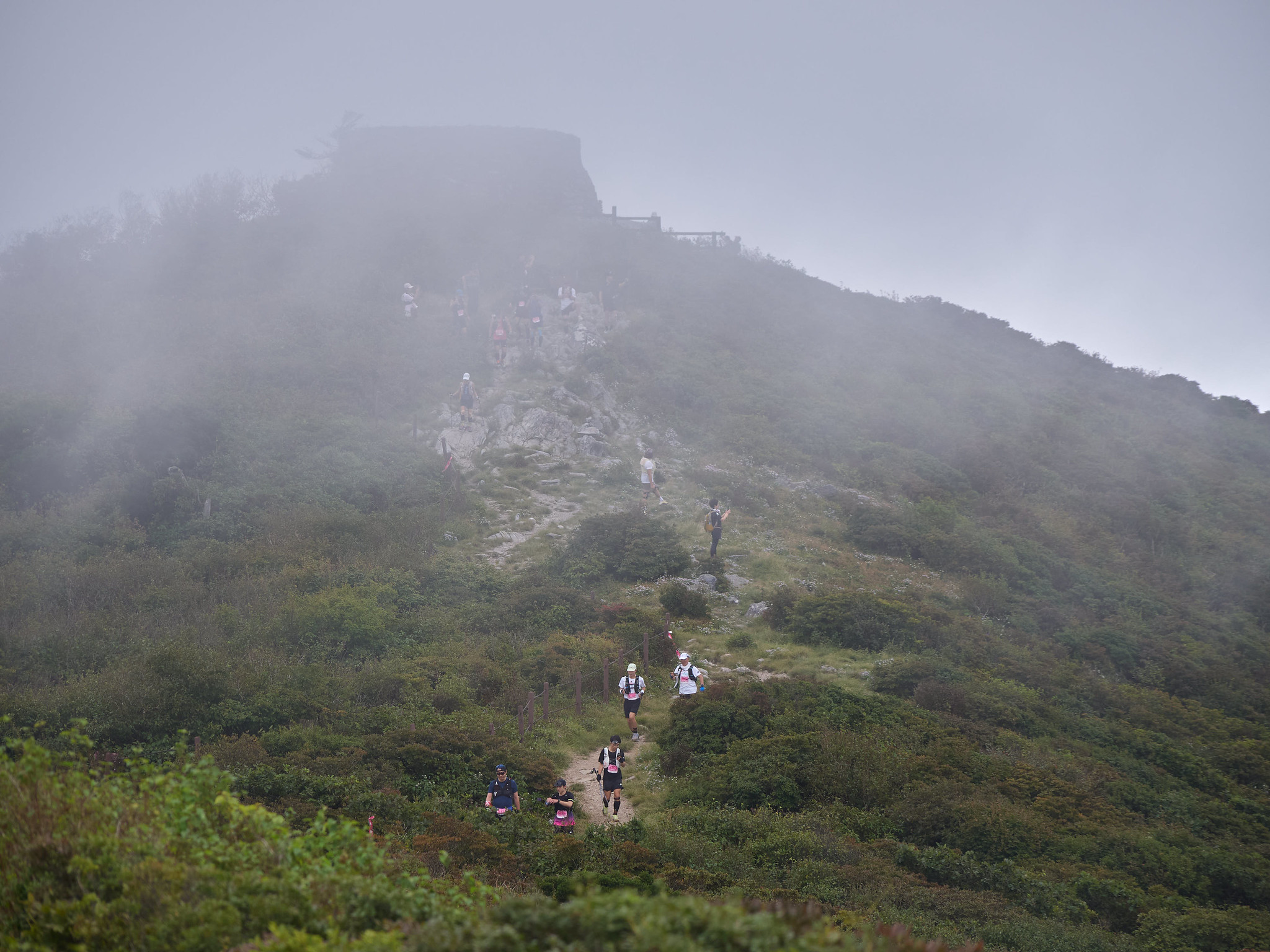 Frame 09 · 태백산 능선